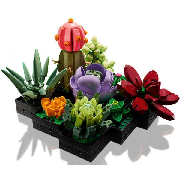Фото - Конструктор LEGO Botanicals Суккуленты (10309)