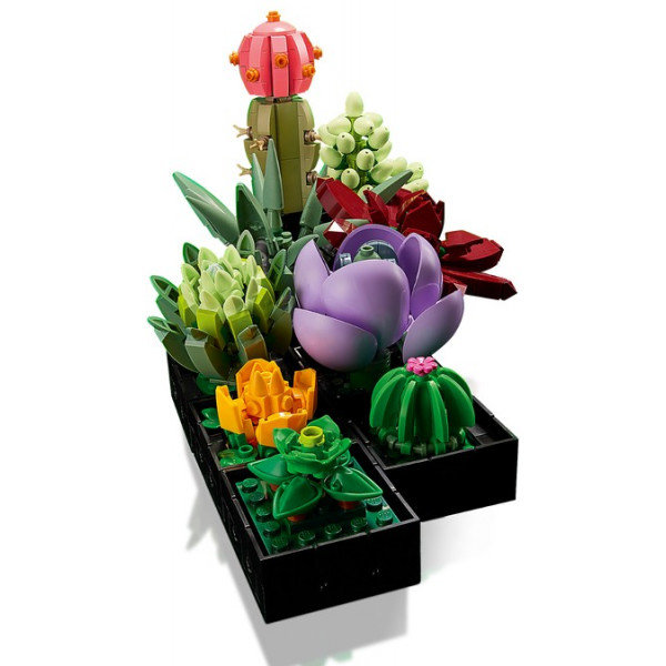 Фото - Конструктор LEGO Botanicals Суккуленты (10309)