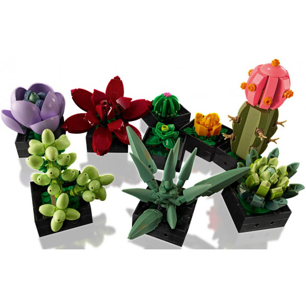 Фото - Конструктор LEGO Botanicals Суккуленты (10309)