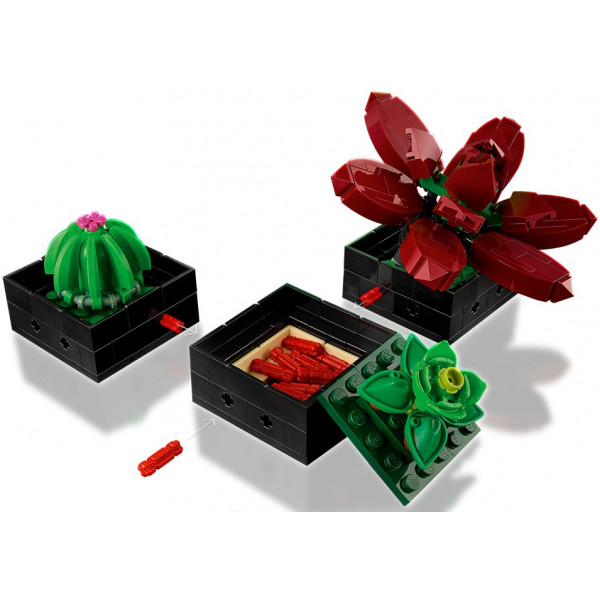 Фото - Конструктор LEGO Botanicals Суккуленты (10309)