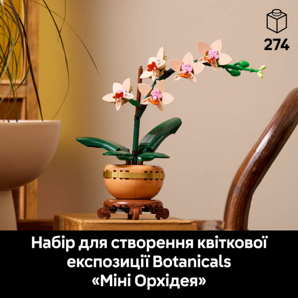 Фото - Конструктор LEGO Botanicals Мини орхидея (10343)