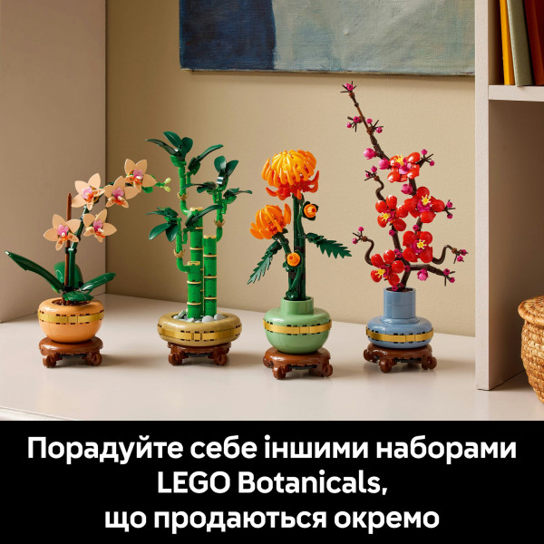 Фото - Конструктор LEGO Botanicals Мини орхидея (10343)