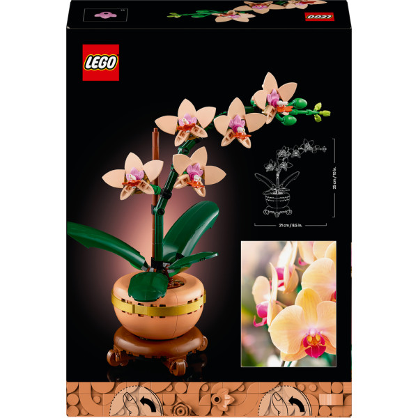 Фото - Конструктор LEGO Botanicals Мини орхидея (10343)
