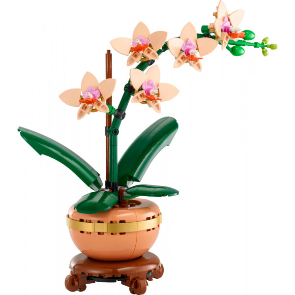 Фото - Конструктор LEGO Botanicals Мини орхидея (10343)