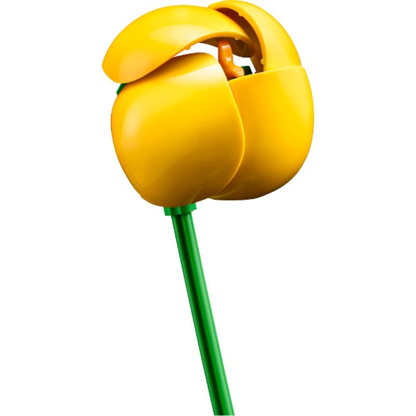 Фото - Конструктор LEGO Botanicals Миниатюрный солнечный букет (10347)