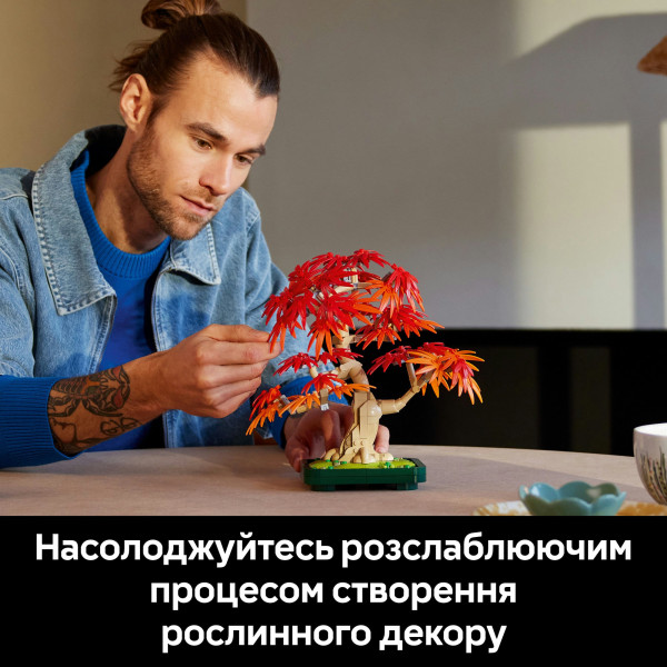 Фото - Уценка - Конструктор LEGO Botanicals Бонсай из японского красного клена (10348)