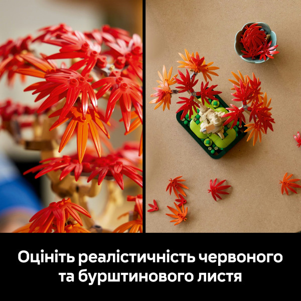 Фото - Уценка - Конструктор LEGO Botanicals Бонсай из японского красного клена (10348)