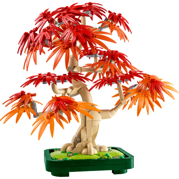 Фото - Уценка - Конструктор LEGO Botanicals Бонсай из японского красного клена (10348)