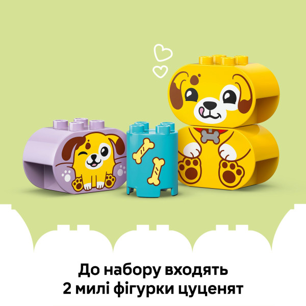 Фото - Конструктор LEGO DUPLO My First Сортировщик фигур: дом для щенков (10441)