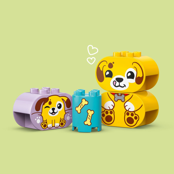Фото - Конструктор LEGO DUPLO My First Сортировщик фигур: дом для щенков (10441)