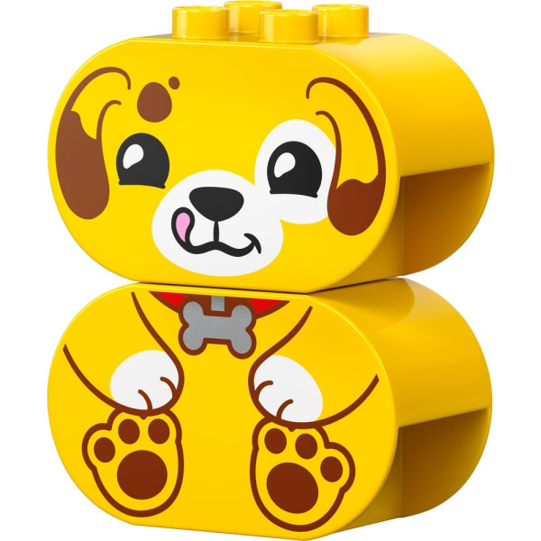 Фото - Конструктор LEGO DUPLO My First Сортировщик фигур: дом для щенков (10441)