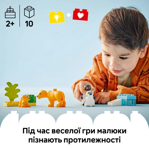 Фото - Конструктор LEGO DUPLO Town Семейства диких животных: Пингвины и Львы (10442)