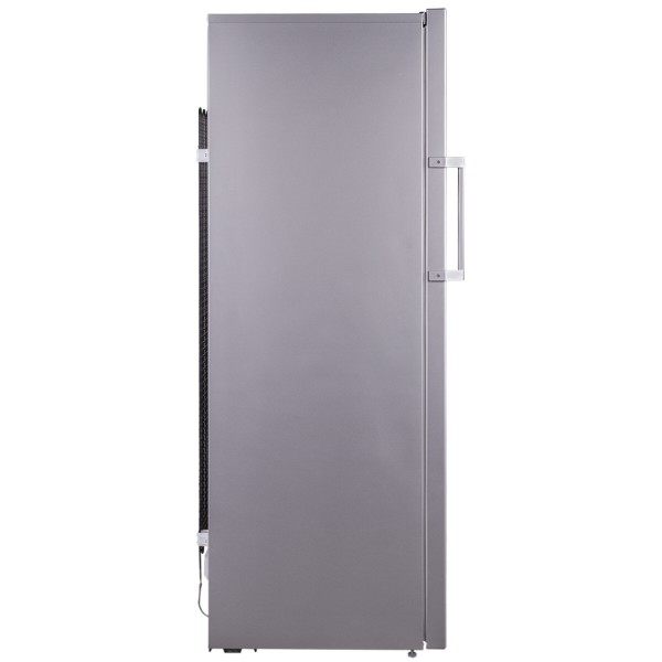 Фото - Морозильная камера Beko RFNK290T21S