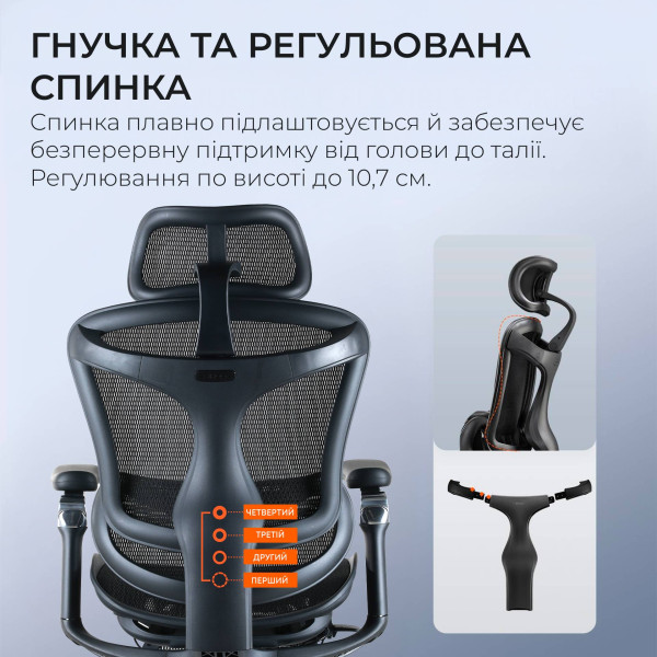 Фото - Крісло офісне Sihoo DORO C300 Pro Mesh Black with footrest (DORO-C300-PRO-M101-JT)