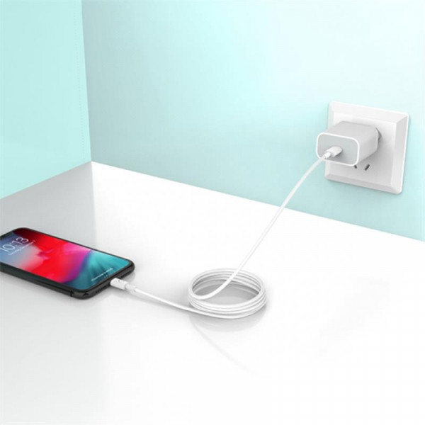 Фото - Мережевий зарядний пристрій SkyDolphin SC18EL PD2.0 1USB-С, 3A White+кабель Lightning (MZP-000156)