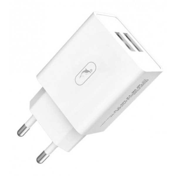 Фото - Мережевий зарядний пристрій SkyDolphin SC30 2USB, 2.1A White (SDMZP-000111)