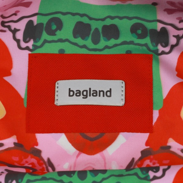 Фото - Рюкзак городской Bagland Stylish 24 л 518694 сублимация 1344