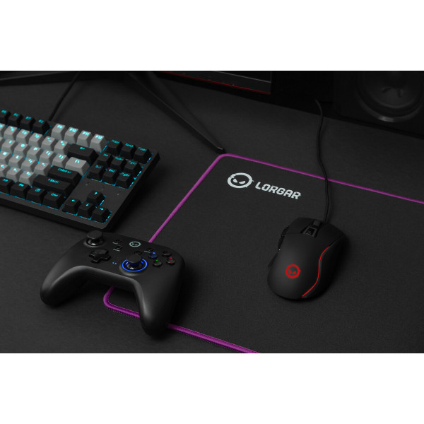 Фото - Килимок для миші ігровий Lorgar Main 319 Gaming (LRG-GMP319)