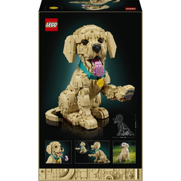 Фото - Конструктор LEGO Icons Цуценя золотистого ретривера (11384)