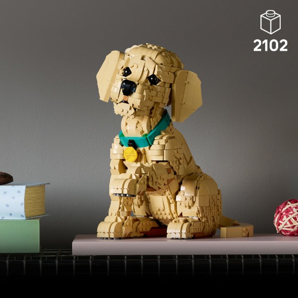 Фото - Конструктор LEGO Icons Цуценя золотистого ретривера (11384)