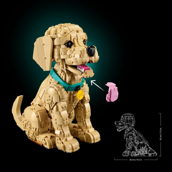 Фото - Конструктор LEGO Icons Цуценя золотистого ретривера (11384)