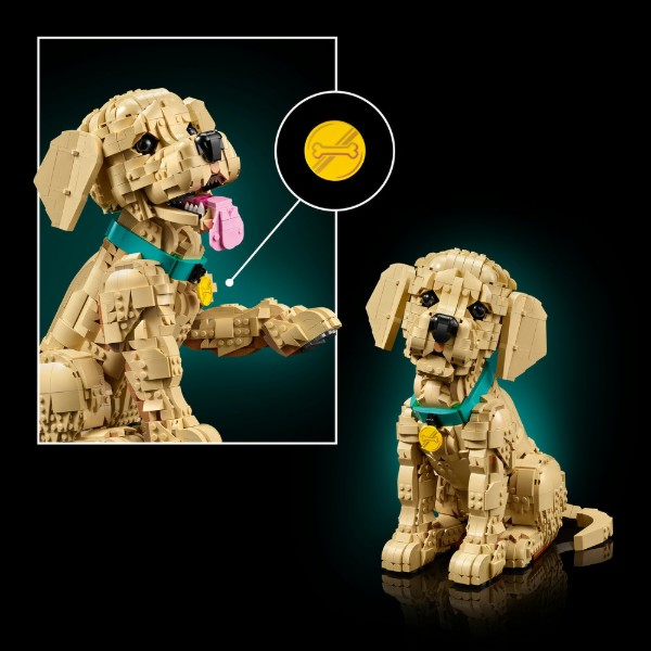 Фото - Конструктор LEGO Icons Цуценя золотистого ретривера (11384)