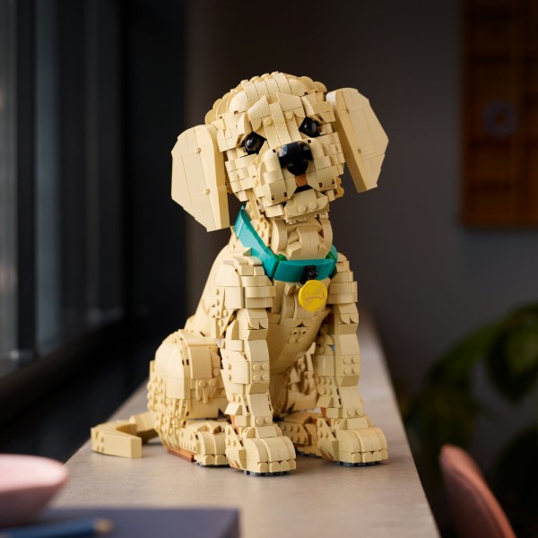 Фото - Конструктор LEGO Icons Цуценя золотистого ретривера (11384)