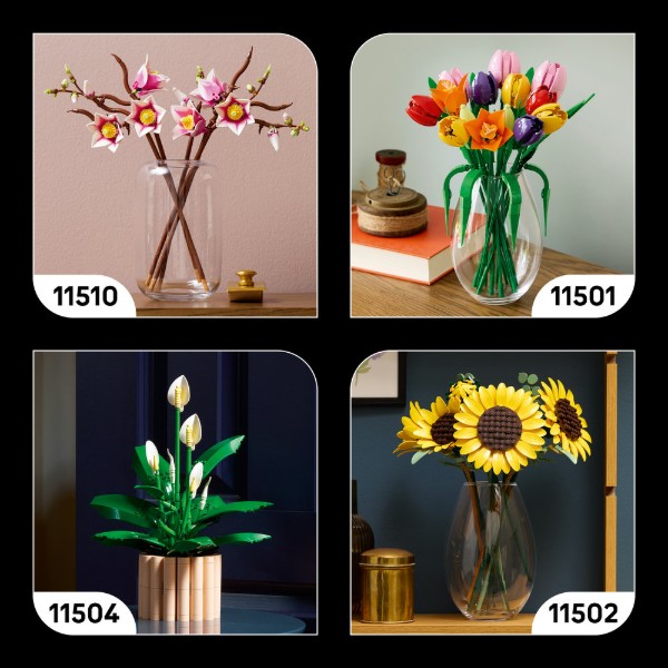 Фото - Конструктор LEGO  Botanicals Лісові гриби (11505)