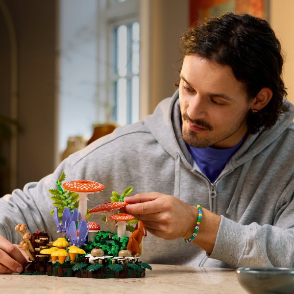 Фото - Конструктор LEGO  Botanicals Лісові гриби (11505)
