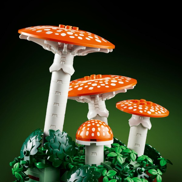 Фото - Конструктор LEGO  Botanicals Лісові гриби (11505)