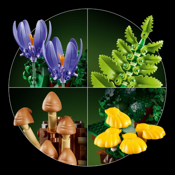 Фото - Конструктор LEGO  Botanicals Лісові гриби (11505)