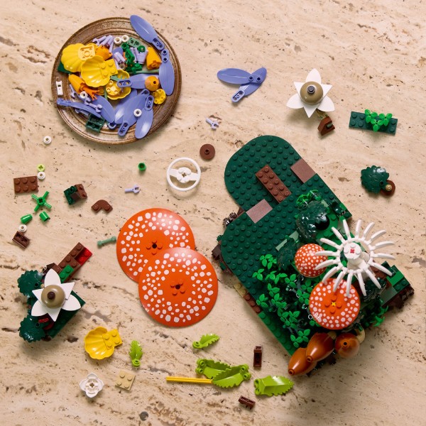 Фото - Конструктор LEGO  Botanicals Лісові гриби (11505)