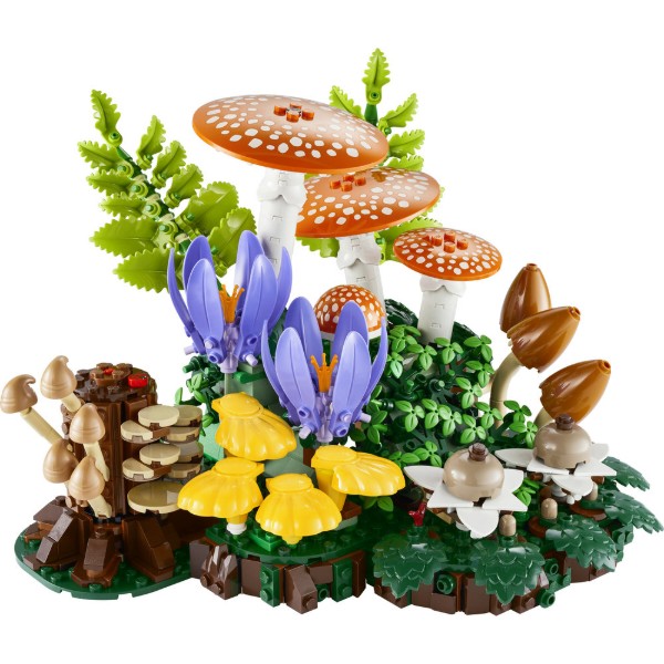 Фото - Конструктор LEGO  Botanicals Лісові гриби (11505)