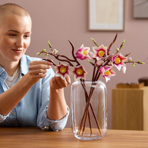 Фото - Конструктор LEGO Botanicals Ветви магнолии (11510)