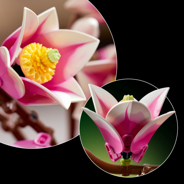 Фото - Конструктор LEGO Botanicals Ветви магнолии (11510)