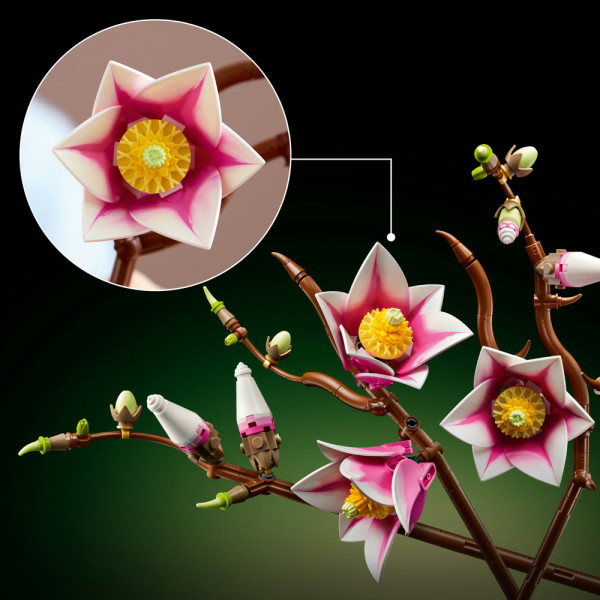 Фото - Конструктор LEGO Botanicals Ветви магнолии (11510)