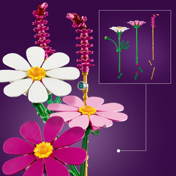 Фото - Конструктор LEGO Botanicals Цветы космеи (11514)