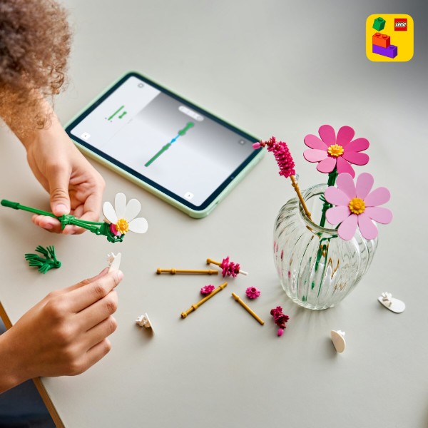 Фото - Конструктор LEGO Botanicals Цветы космеи (11514)