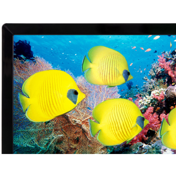 Фото - Монитор LG 24MP59G-P