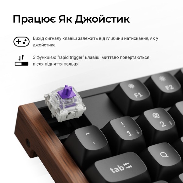 Фото - Клавіатура бездротова Keychron K10 HE Magnetic Switch Black RGB (K10H-F1-UA)