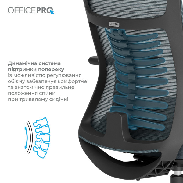 Фото - Крісло офісне OfficePro Balance (OC550-B-DG-DG) Black/Dark Gray