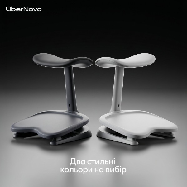 Фото - Підставка для ніг регульована LiberNovo StepSync Footrest Space Gray (CP-GW-0000002-00-00)