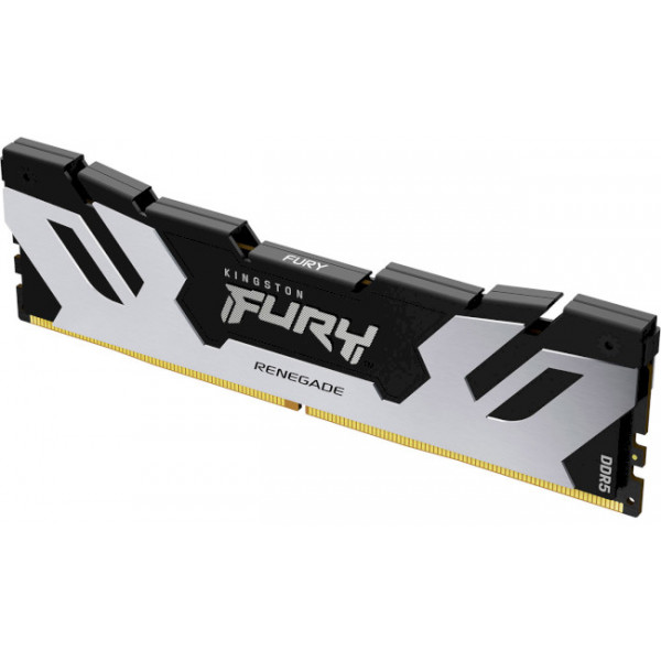 Фото - Память DDR Kingston FURY Renegade Black/Silver DDR5 7600MHz 16GB (KF576C38RS-16)