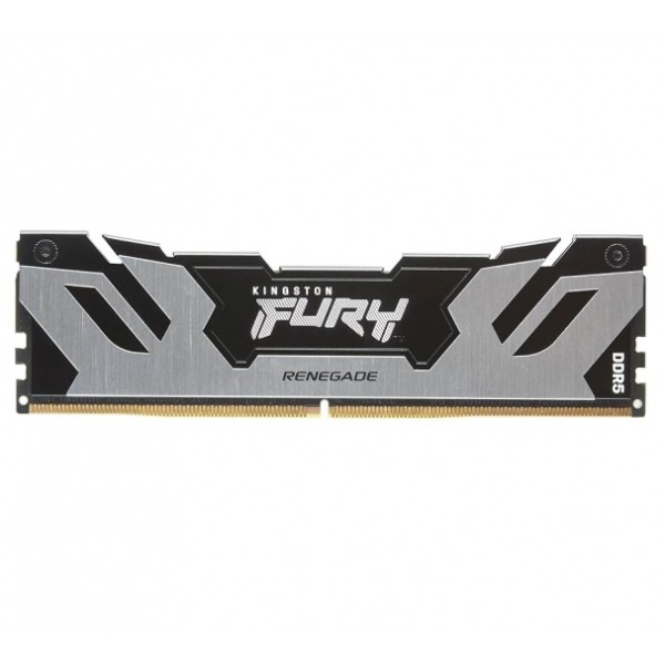 Фото - Пам'ять DDR Kingston Fury Renegade Silver 16GB (1x16) DDR5 8000 MHz (KF580C38RS-16)
