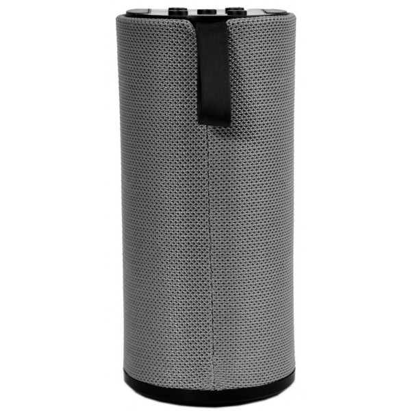 Фото - Портативна акустика Reca AST-311G Gray