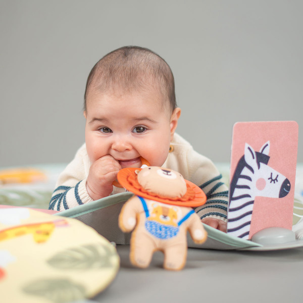 Фото - Развивающий коврик Taf Toys коллекции Саванна - ПРИКЛЮЧЕНИЯ НА 360° (12785)