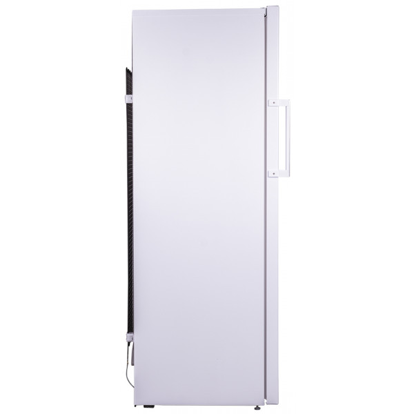 Фото - Морозильная камера Beko RFNK290T21W