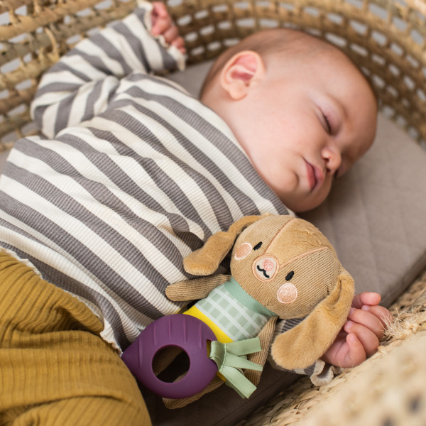 Фото - Підвіска Taf Toys колекції Садок у місті – КРОЛИК ДЖЕННІ (12995)