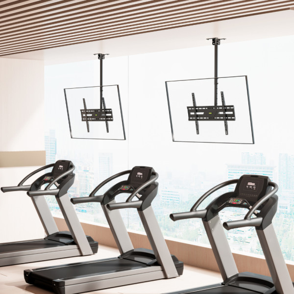 Фото - Крепление потолочное iTECH CELB-56S