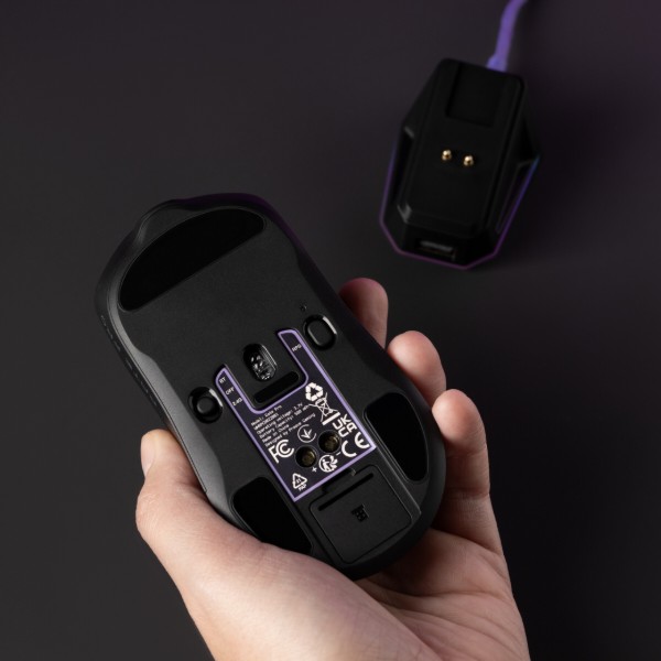 Фото - Мышь беспроводная игровая Proove Gaming Rate Pro with Charging Dock black (WMRPCD022001)